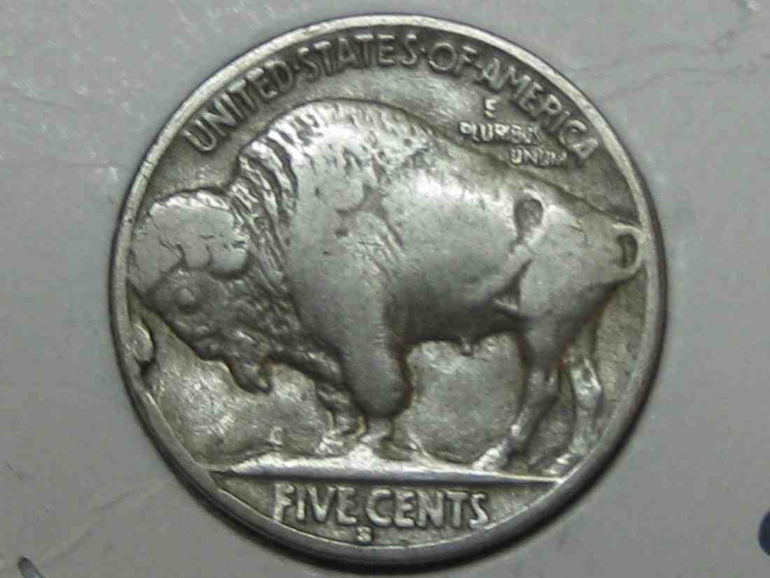 Auctioning-Some-Fine-Buffalo's-A-Great-Set-At-A-Great-Price!