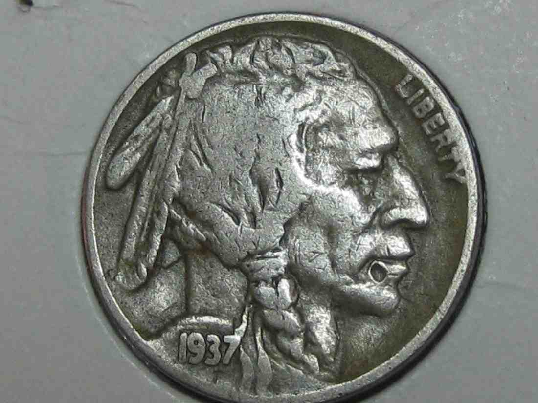 Auctioning-Some-Fine-Buffalo's-A-Great-Set-At-A-Great-Price!