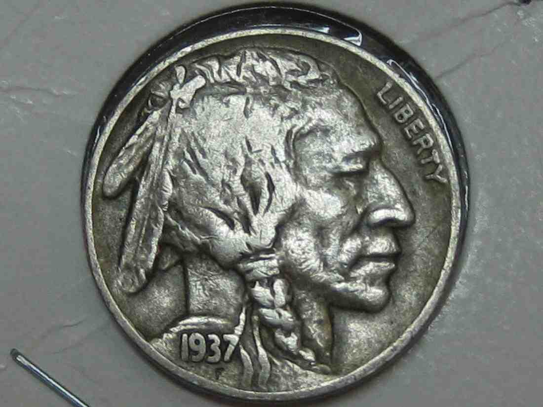 Auctioning-Some-Fine-Buffalo's-A-Great-Set-At-A-Great-Price!