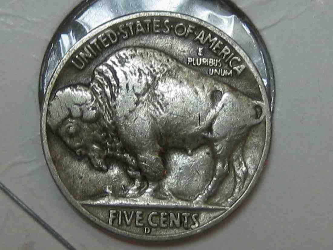 Auctioning-Some-Fine-Buffalo's-A-Great-Set-At-A-Great-Price!