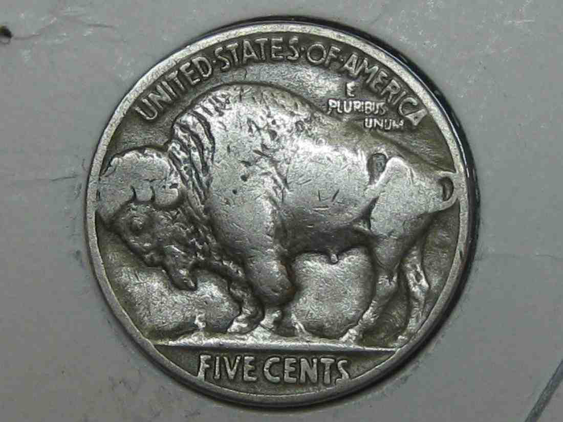 Auctioning-Some-Fine-Buffalo's-A-Great-Set-At-A-Great-Price!