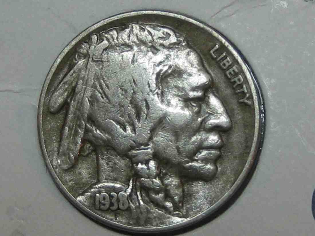 Auctioning-Some-Fine-Buffalo's-A-Great-Set-At-A-Great-Price!