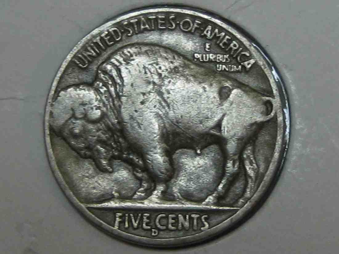 Auctioning-Some-Fine-Buffalo's-A-Great-Set-At-A-Great-Price!