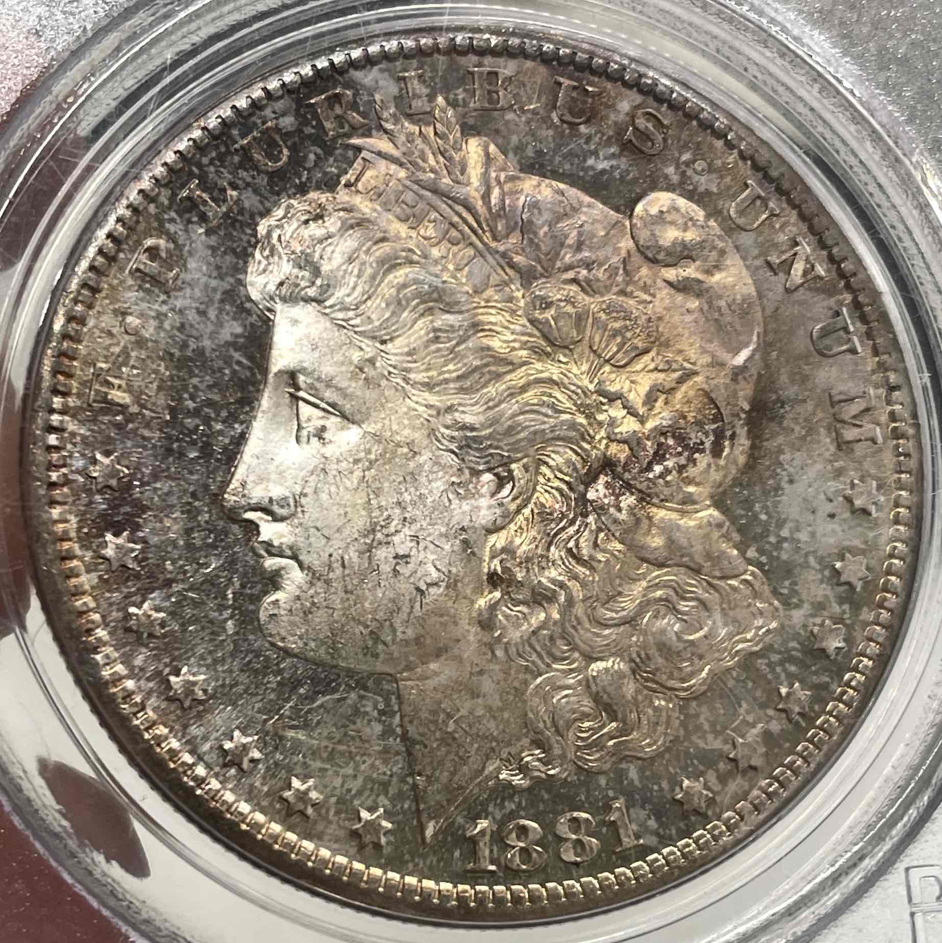 Continuing-List-To-Show-Everyones-Latest-Acquisitions