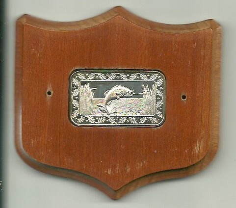 Silver-Thrift-Store-Find