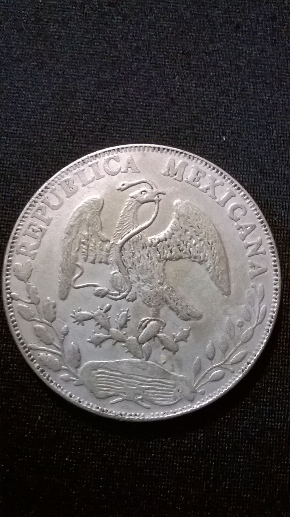 Coins-I-Forgot-I-Had