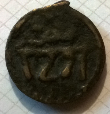 Any-Moroccan-Falus-Experts-Out-There?