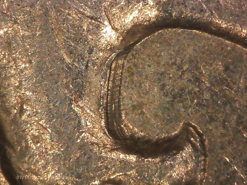 1995-P-Washington-Quarter-Triple-Neck-?