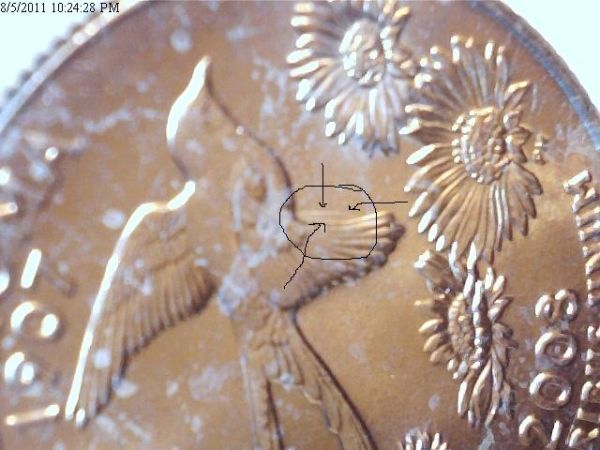 Oklahoma-Quarter-Extra-Featheror-Wing...new-Pics
