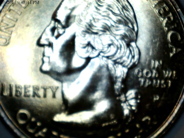 Oklahoma-Quarter-Extra-Featheror-Wing...new-Pics