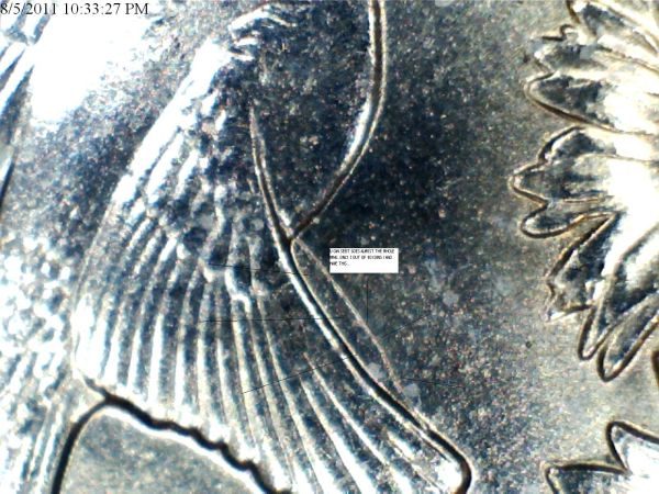 Oklahoma-Quarter-Extra-Featheror-Wing...new-Pics
