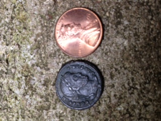 Old-Roman-Coin-|-Constantine-/-Vot-Xx