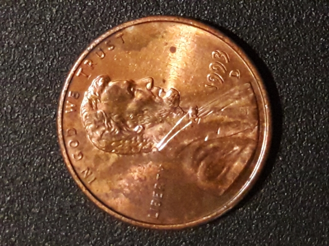 Questions-For-A-Beginer-Coin-Seller