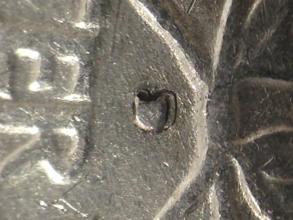 1934-D-D/D,-D/S,-Small-D-Over-Large-D?