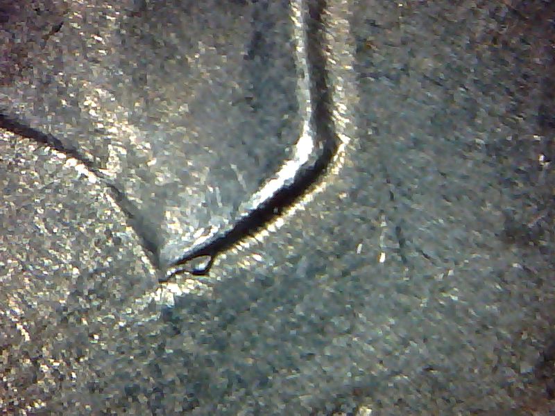 1776-1976-Eisenhower-Error-Neck/Bust-Cud-On-Two-Coins