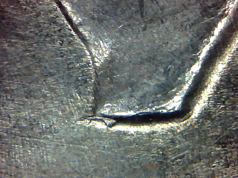 1776-1976-Eisenhower-Error-Neck/Bust-Cud-On-Two-Coins