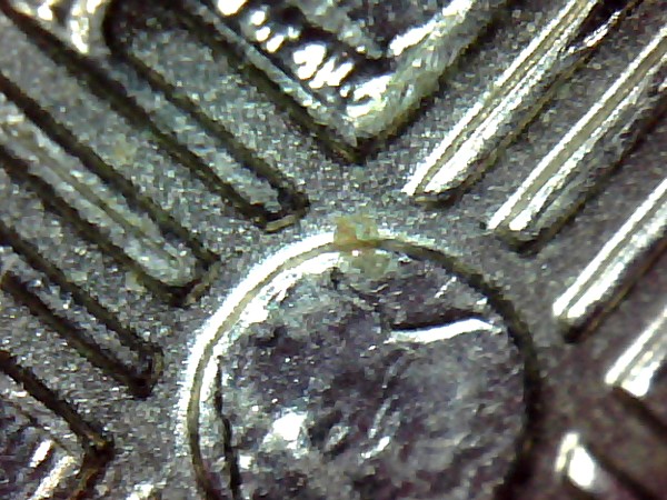 New-Mexico-Quarter-DDR/?-Any-Ideas