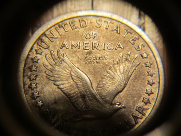 1917-Standing-Liberty-Quarter--Thinking-Of-Grading-It