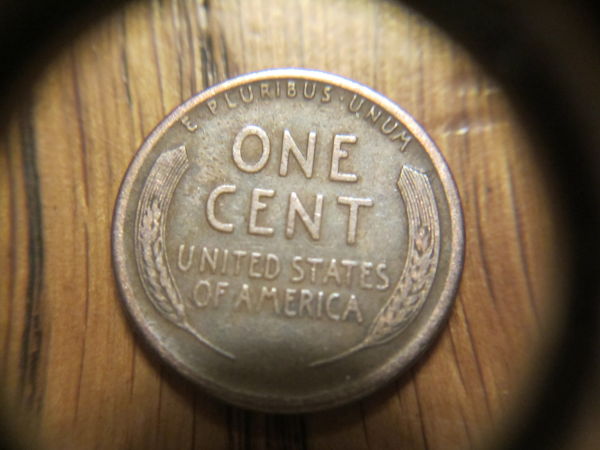 Got-Some-Nice-Lincoln-Wheats-At-The-Local-Coin-Shop!!-Price?