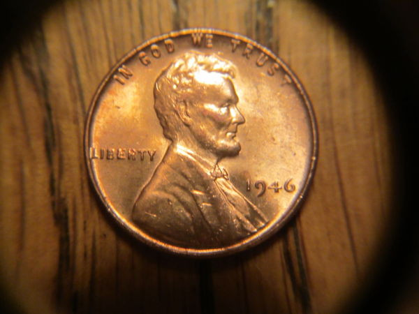 Got-Some-Nice-Lincoln-Wheats-At-The-Local-Coin-Shop!!-Price?