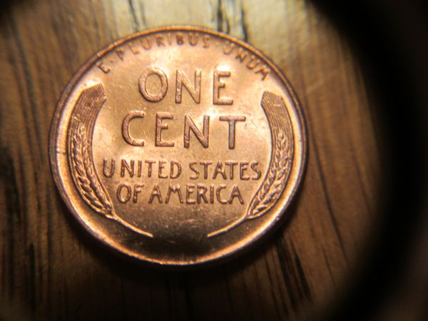Got-Some-Nice-Lincoln-Wheats-At-The-Local-Coin-Shop!!-Price?