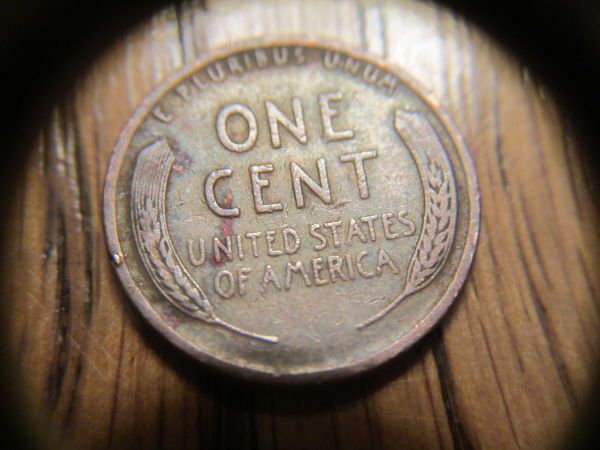 Got-Some-Nice-Lincoln-Wheats-At-The-Local-Coin-Shop!!-Price?
