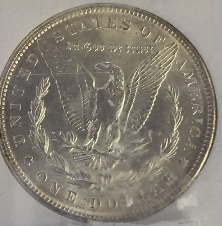 1891-Morgan-Opinion