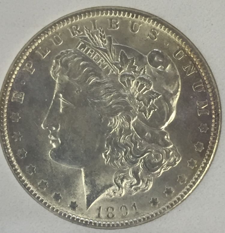 1891-Morgan-Opinion