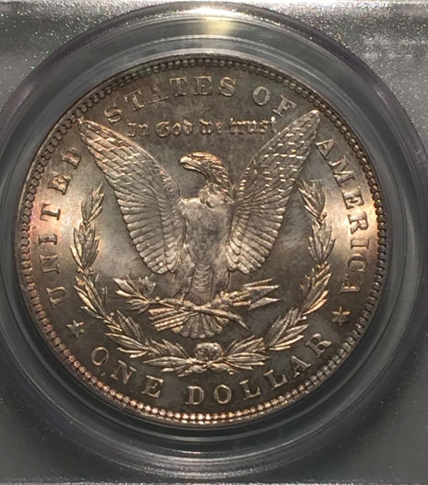 You-Vs-PCGS---1896-P-Morgan