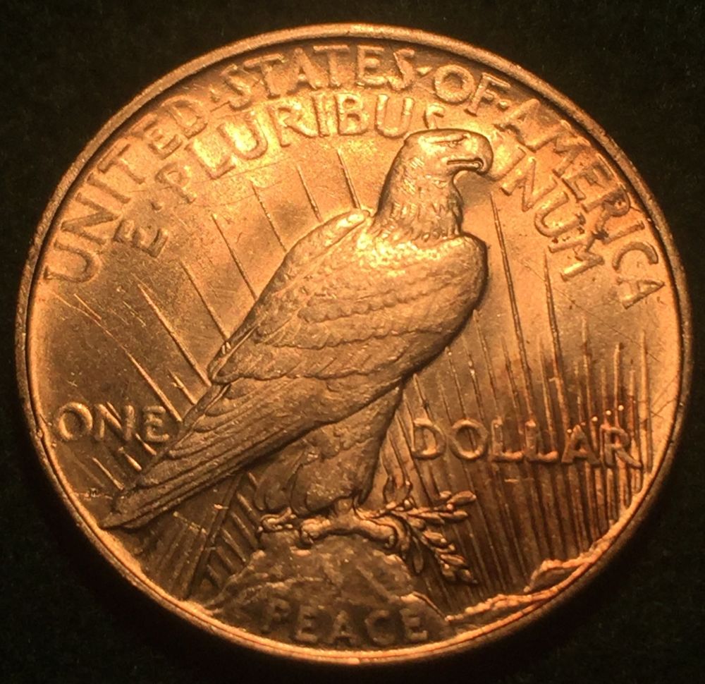 1927-D-Peace-Dollar-Opinions
