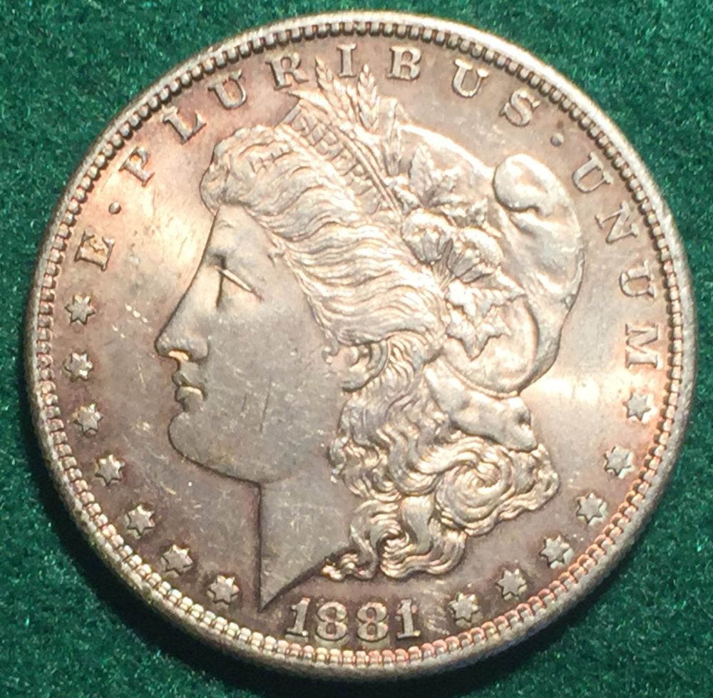 1881-S-Morgan-Dollar-Opinions