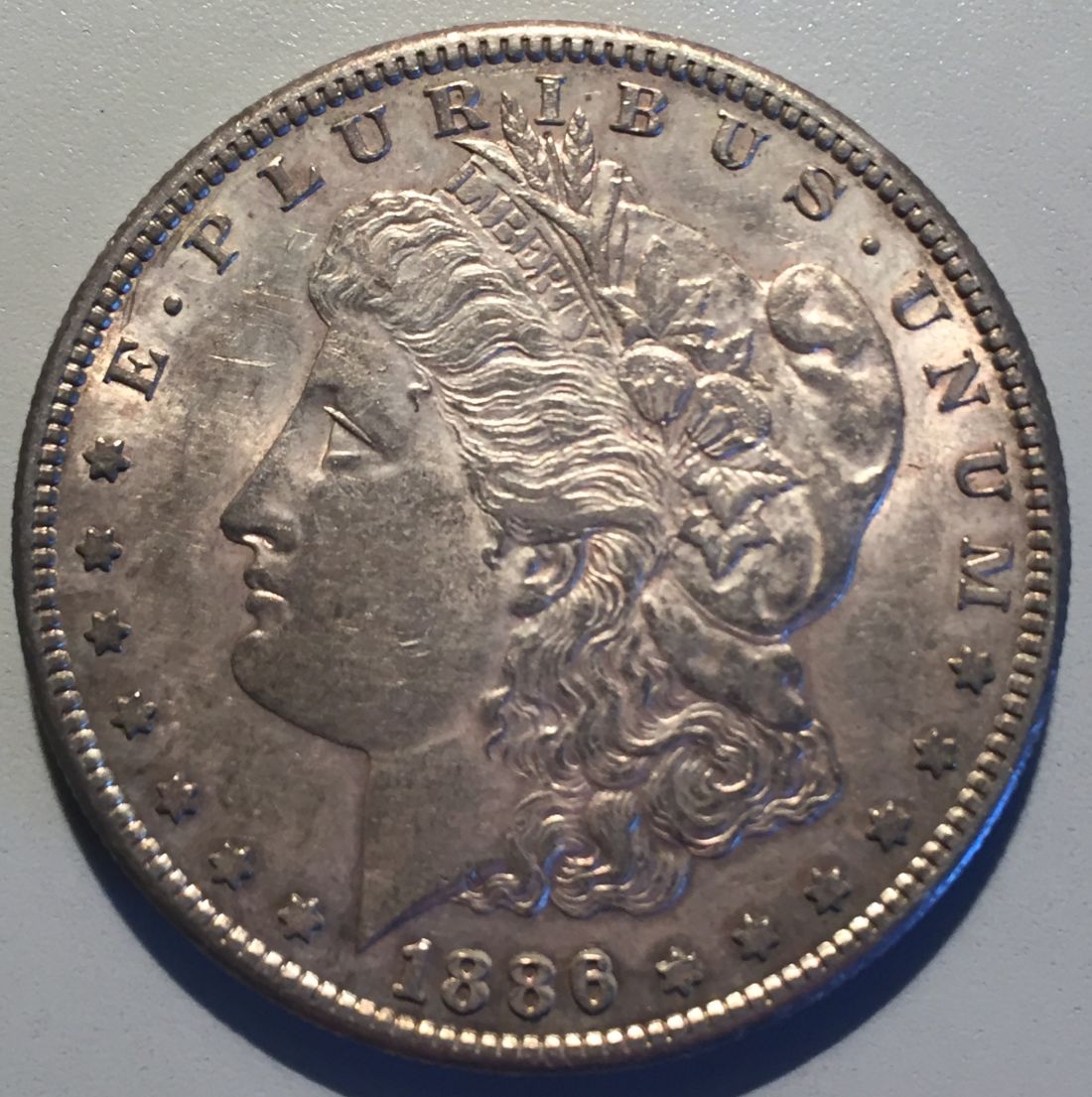 1886-S-Morgan-Dollar-Opinions