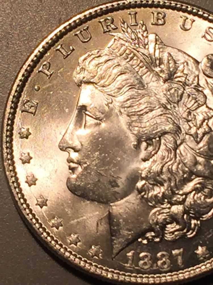 1887-P-Morgan-Dollar-Opinions