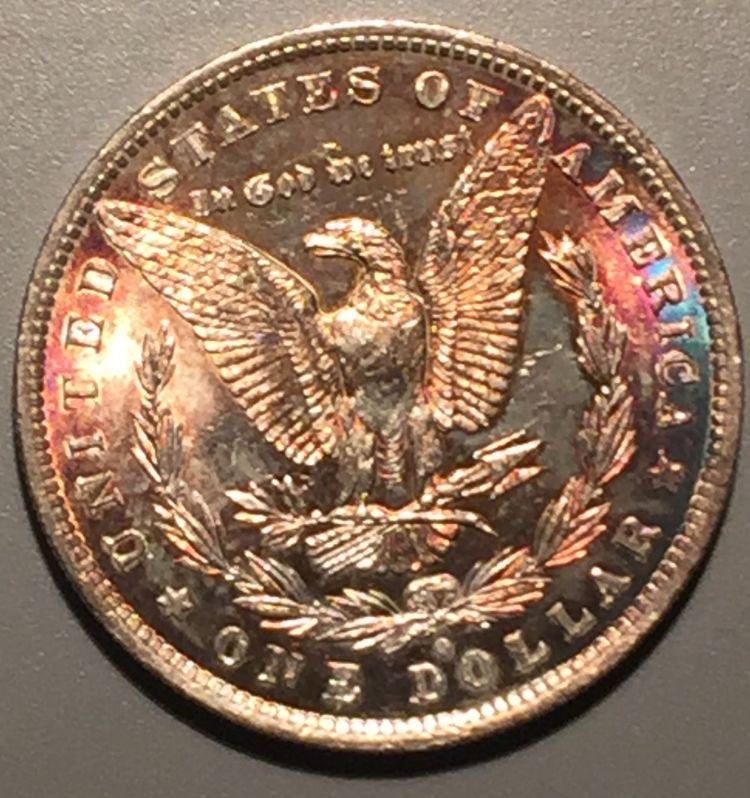 1881-O-Morgan-Dollar-Opinions