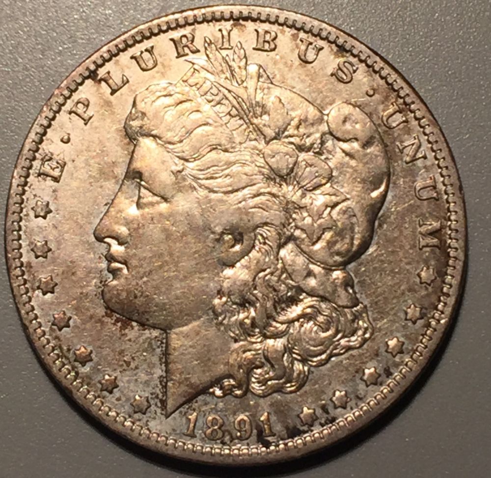 1891-O-Morgan-Dollar-Grade-Opinions