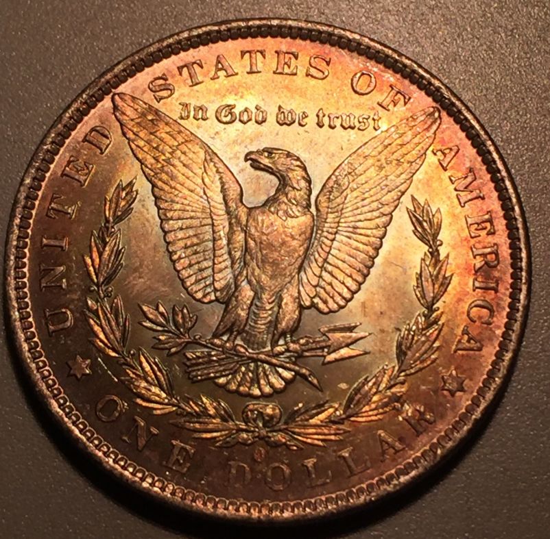 1883-O-Morgan-Dollar---Opinions-Please