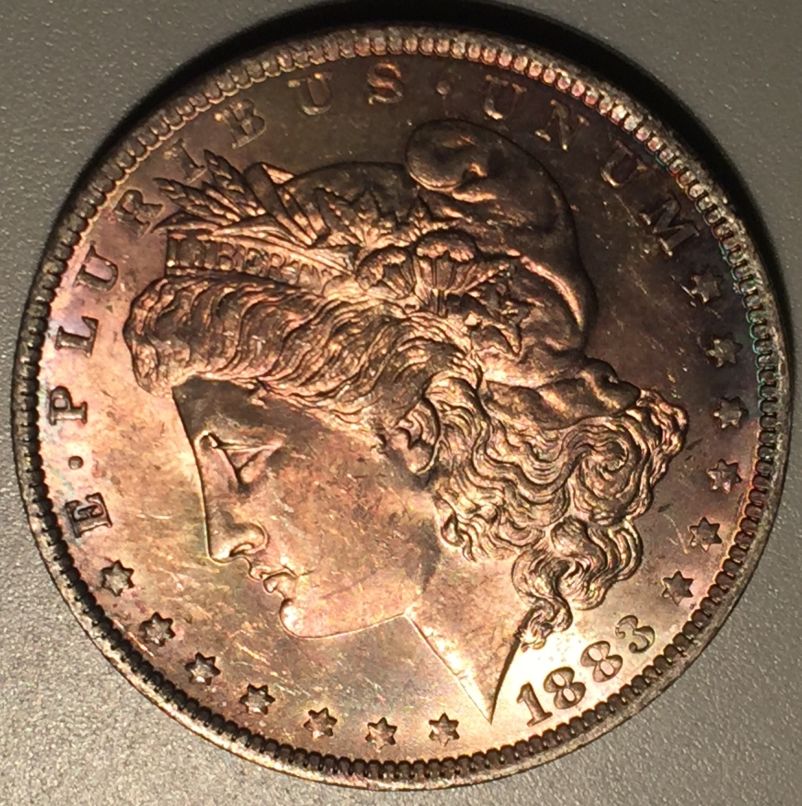 1883-O-Morgan-Dollar---Opinions-Please