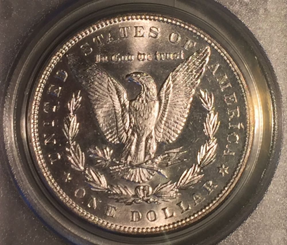 1887-P-Morgan-Dollar---You-Vs-PCGS
