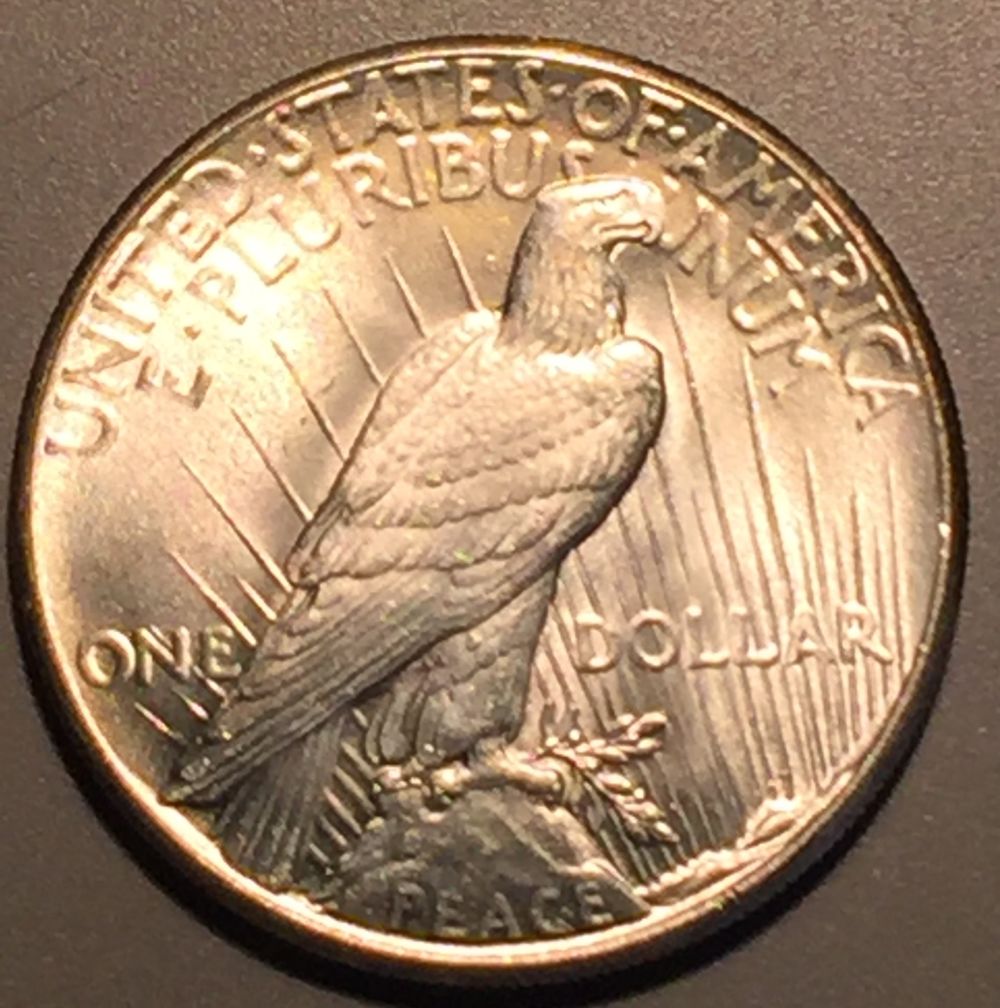 1926-P-Peace-Dollar---Grading-Opinions