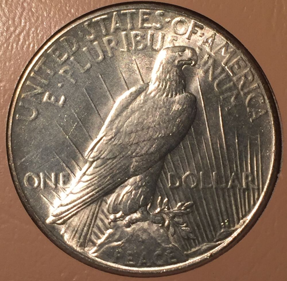 1926-P-Peace-Dollar---Grading-Opinions