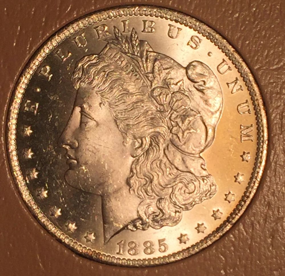 1885-O-Morgan-Dollar---Opinions-Please