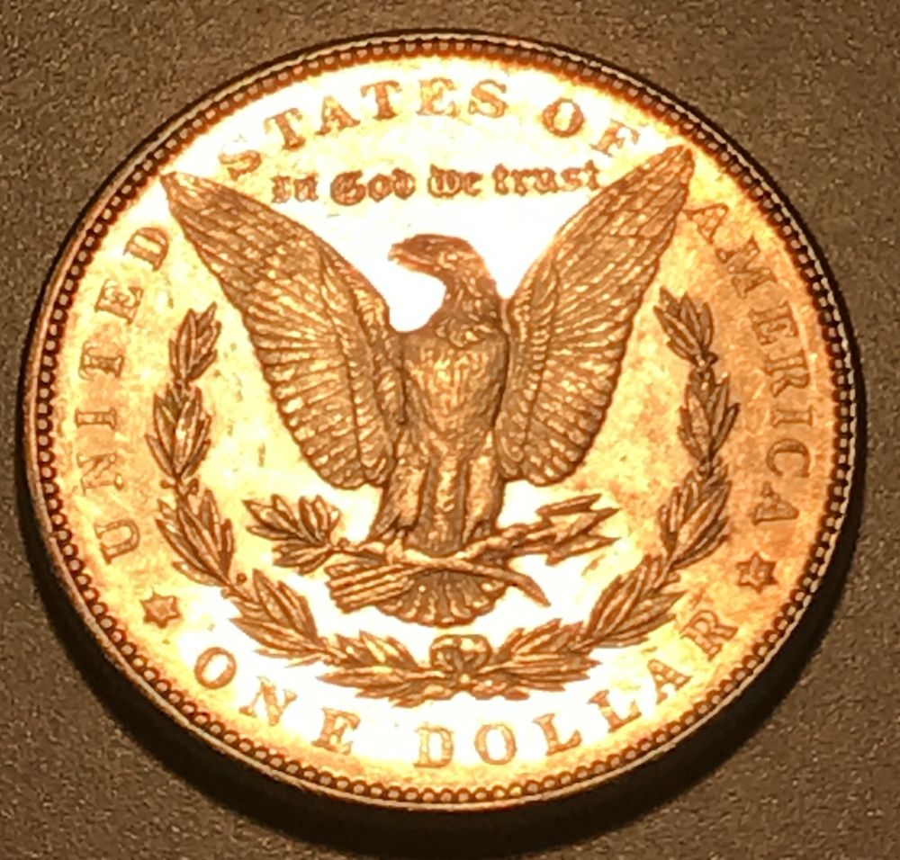 1879-P-Morgan-Dollar---Is-This-A-Proof?