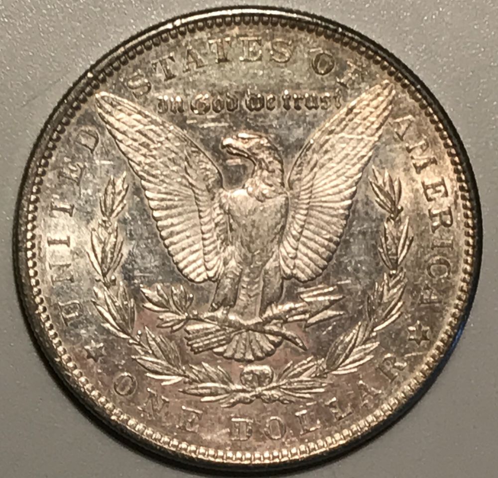 1879-P-Morgan-Dollar---Is-This-A-Proof?