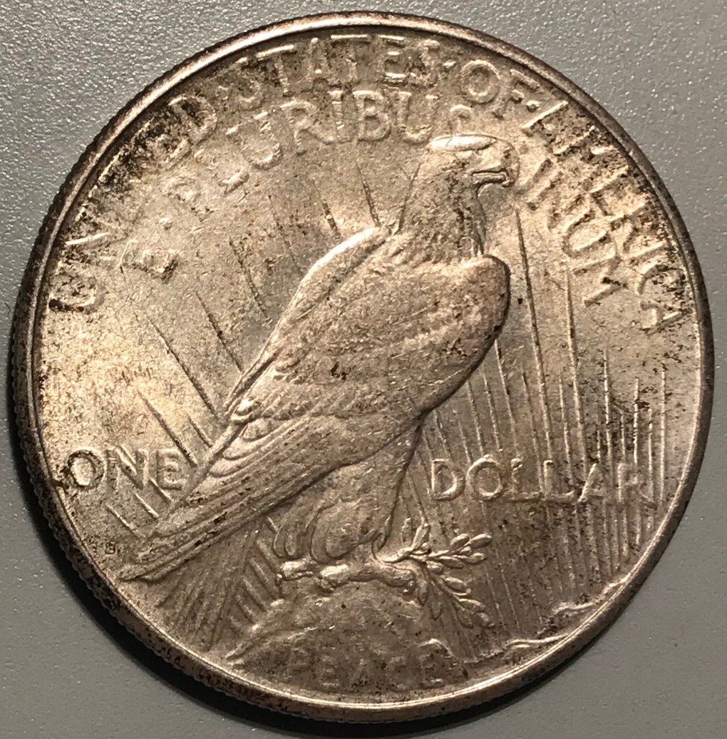 1924-S-Peace-Dollar---Grading-Opinions