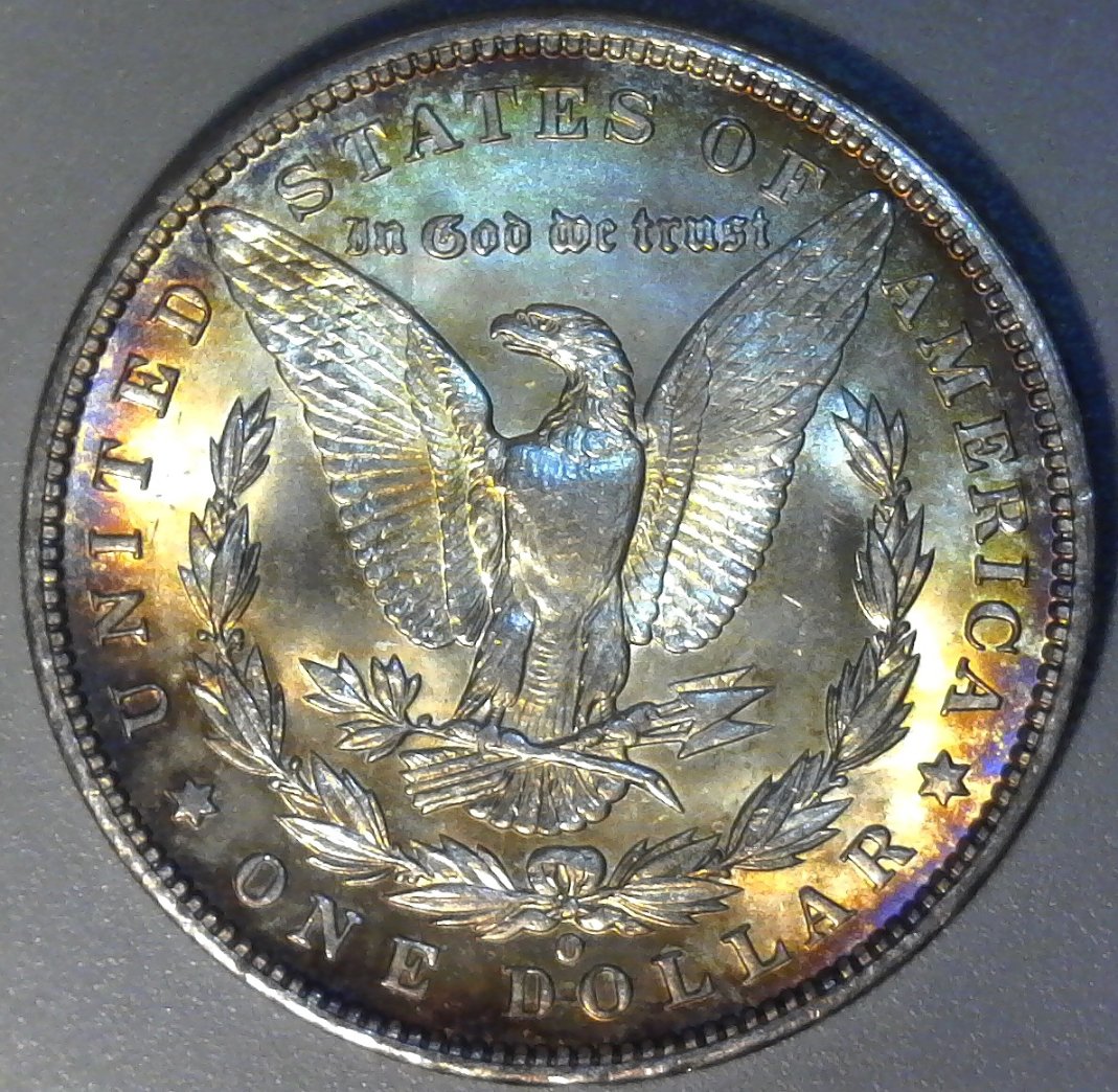 1901-O-Morgan-Dollar---Grading-Opinions