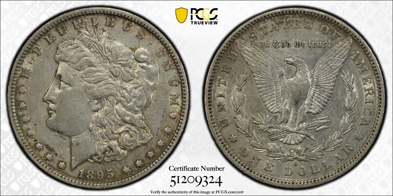 1895-O-Morgan-Dollar---Grading-Opinions