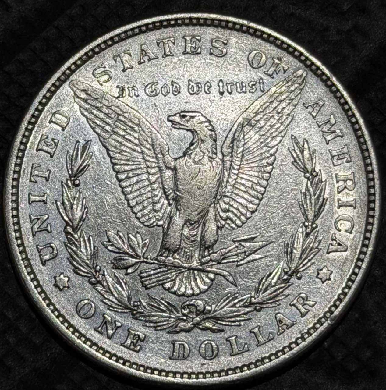 1878-8TF-Morgan---VAM9A