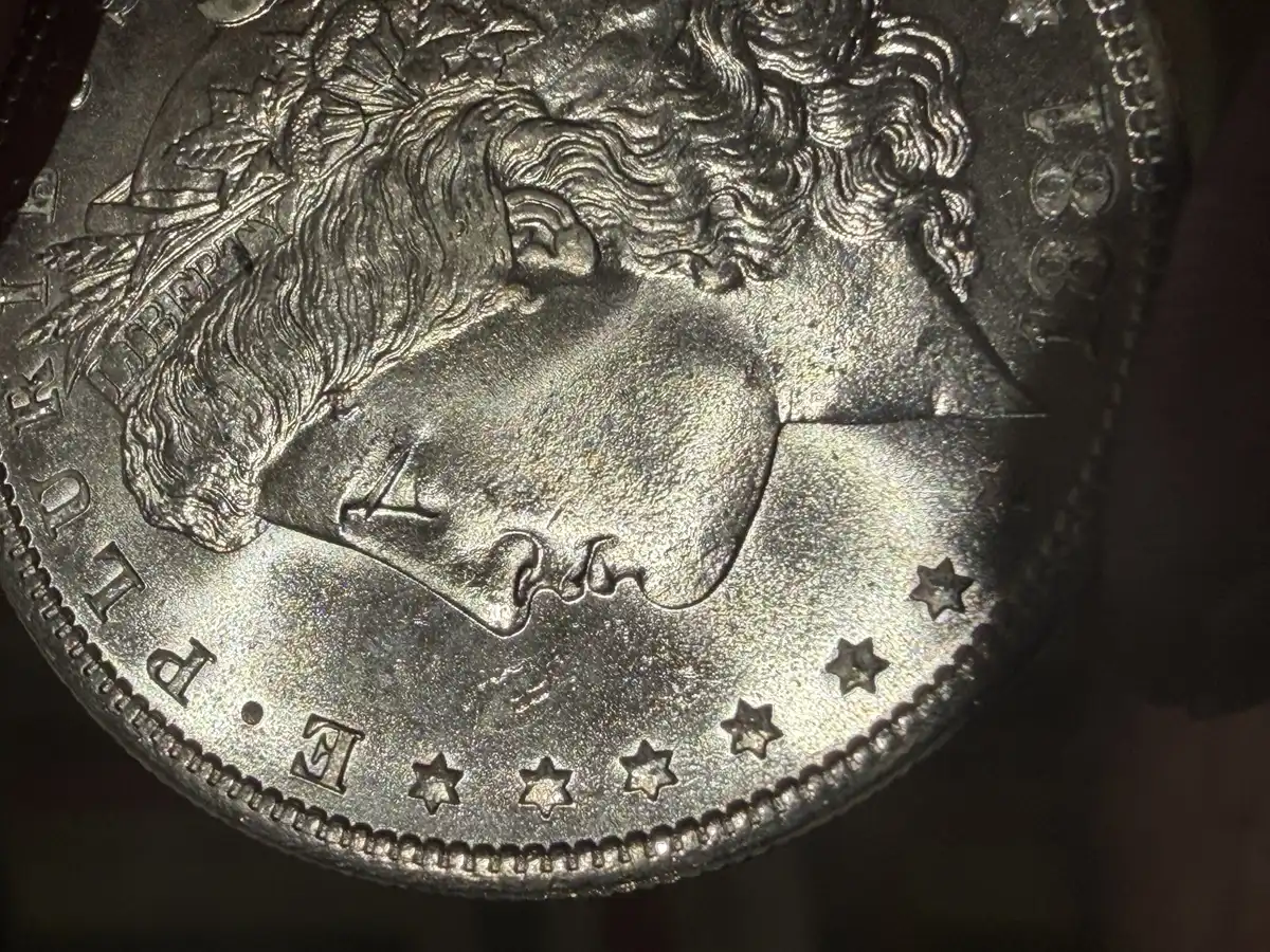 1881-S-Morgan-Grading---New-Coin-Better-Pics