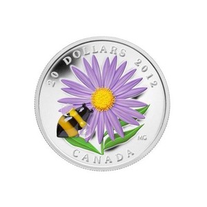 New-Coins-From-RCM