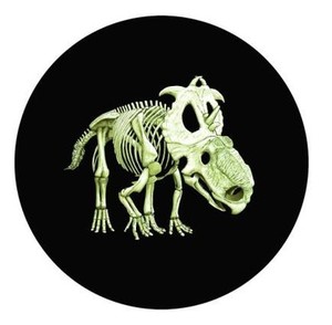 New-Coins-From-RCM